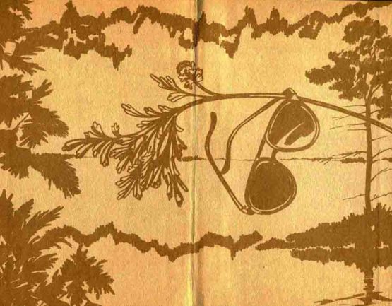   , ,  !, 1980 .