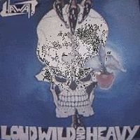 Loud, Wild And Heavy, 1984